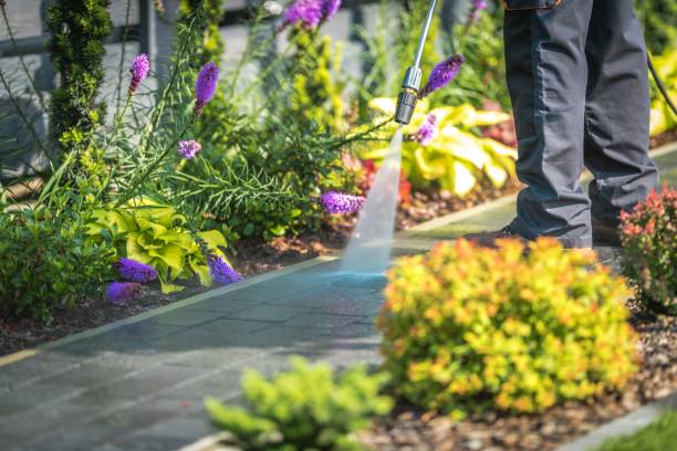 Best Sidewalk and Walkway Cleaning  in Bernardsville, NJ